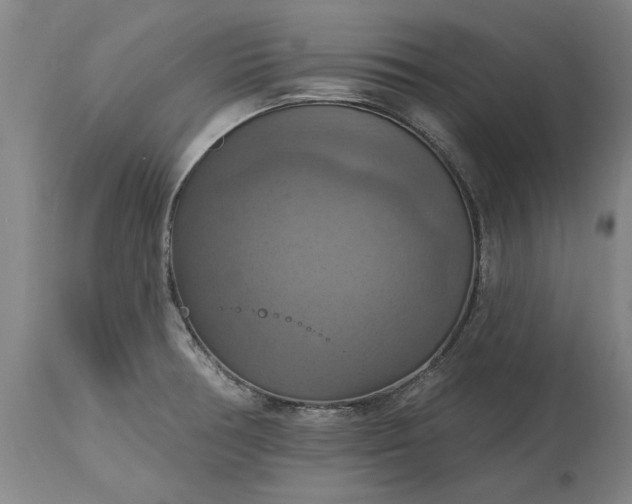 X0000115451378200911181537