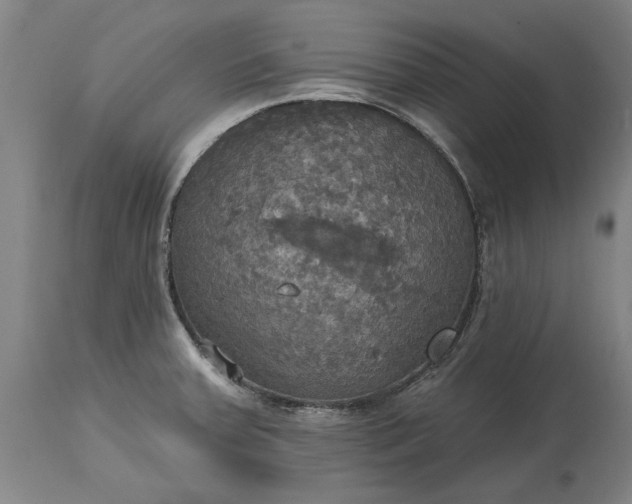 X0000115451379200911181537