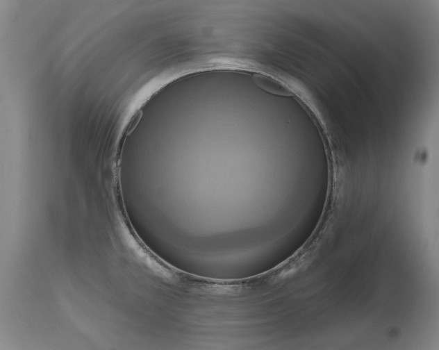 X0000115451381200911181537