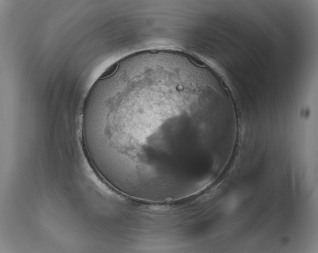 X0000115451383200911181537