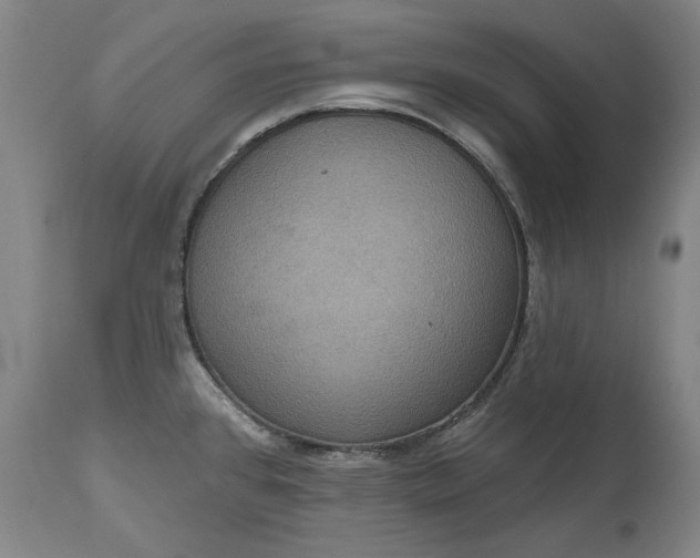 X0000115451384200911181537