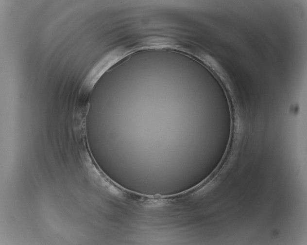 X0000115451385200911181537