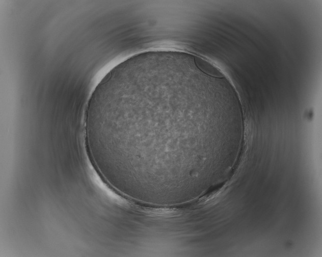 X0000115451387200911181537