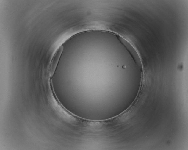 X0000115451389200911181537