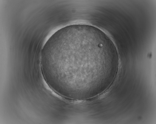 X0000115451390200911181537