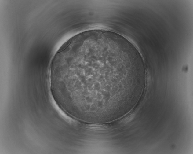 X0000115451391200911181537