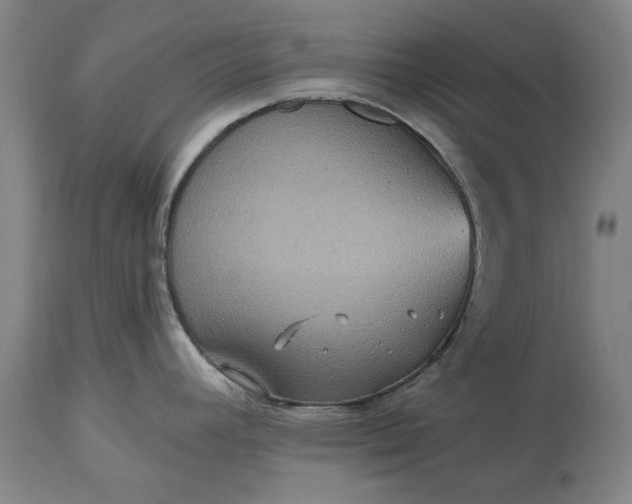 X0000115451392200911181537