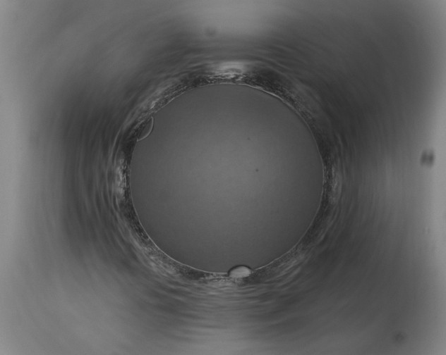 X0000115451394200911181536