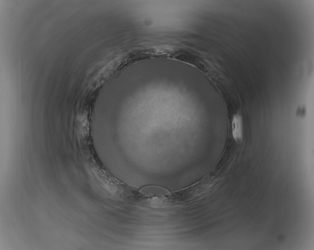 X0000115451395200911181536