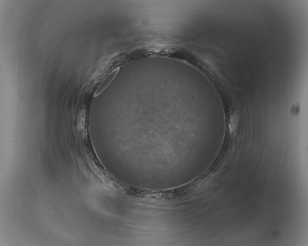 X0000115451396200911181536