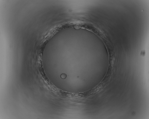 X0000115451397200911181536