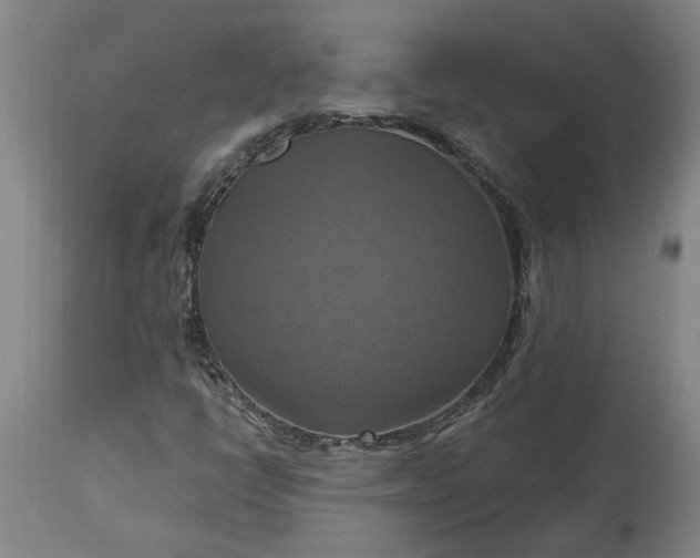 X0000115451398200911181536