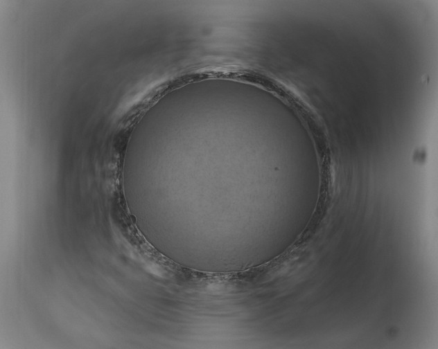 X0000115451399200911181536