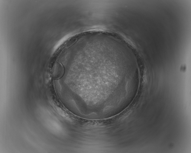 X0000115451400200911181536