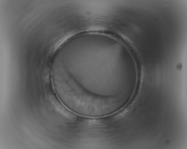 X0000115451401200911181536