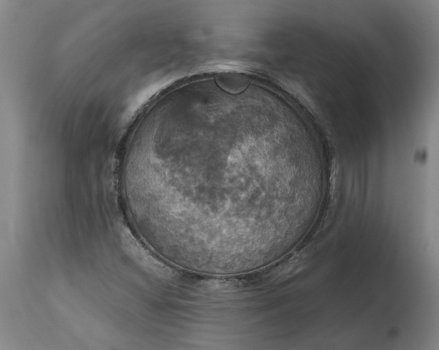 X0000115451404200911181536