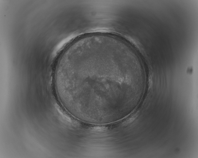 X0000115451406200911181536