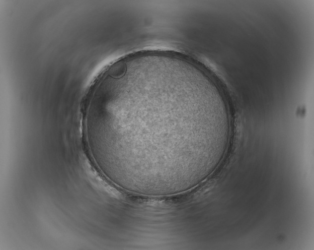 X0000115451408200911181536