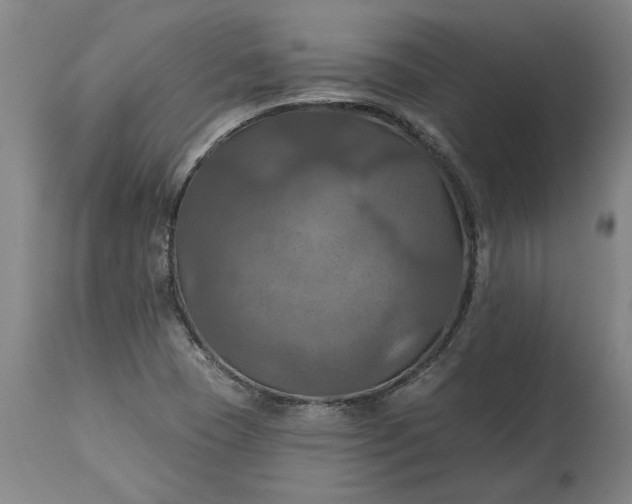 X0000115451409200911181536