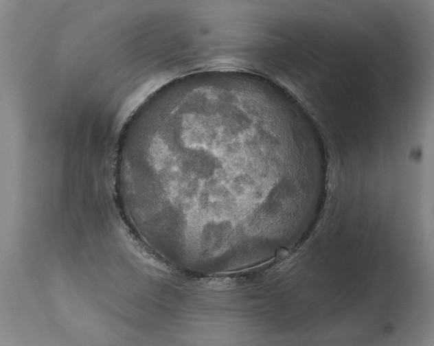 X0000115451410200911181536