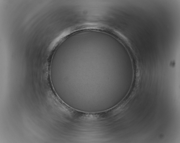 X0000115451411200911181536