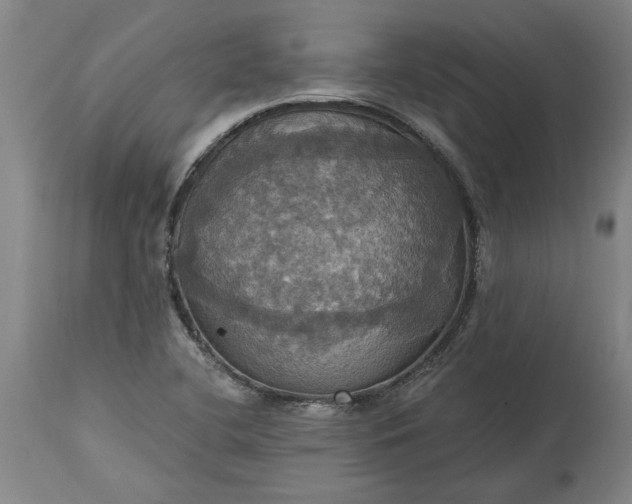 X0000115451412200911181536