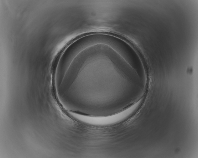 X0000115451414200911181536