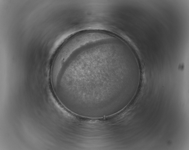 X0000115451416200911181536