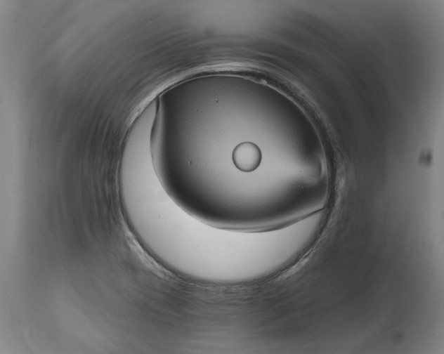 X0000115451417200911181536