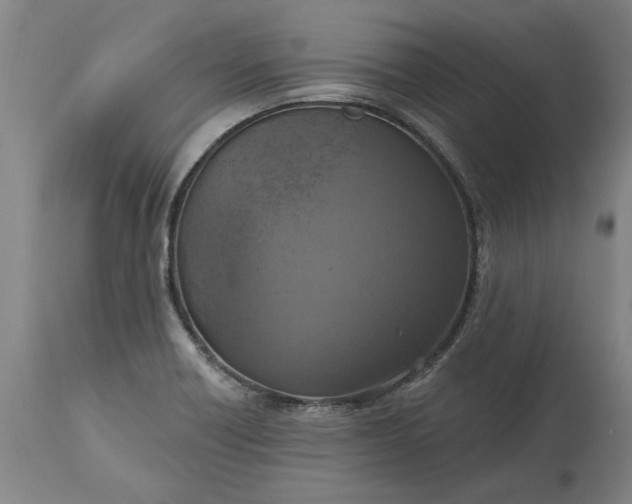 X0000115451418200911181536