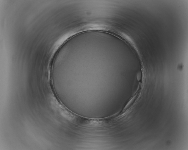 X0000115451419200911181536