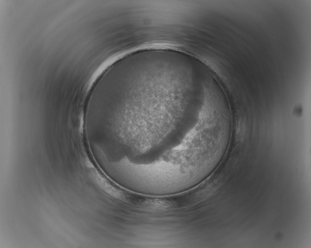 X0000115451420200911181536