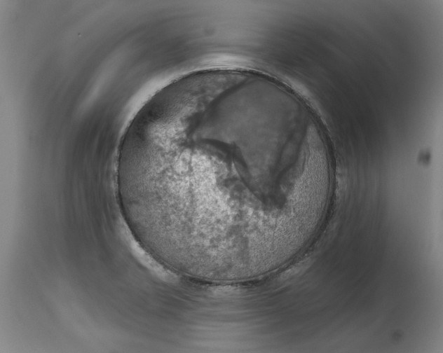 X0000115451421200911181536