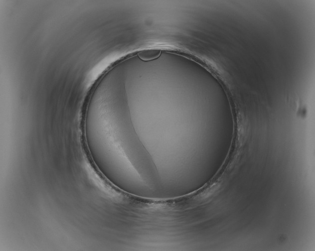 X0000115451422200911181536