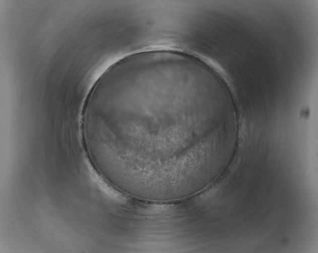 X0000115451423200911181536