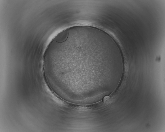 X0000115451424200911181536