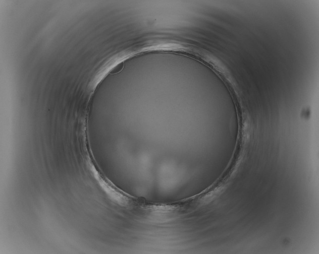 X0000115451425200911181536