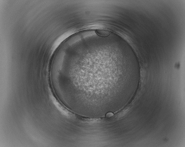 X0000115451426200911181536