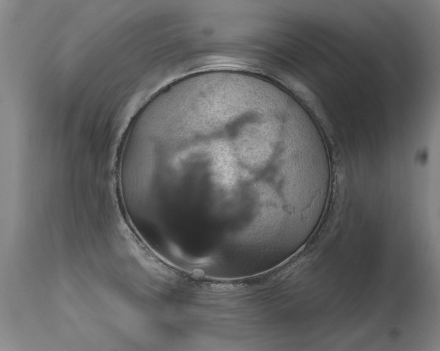 X0000115451427200911181536