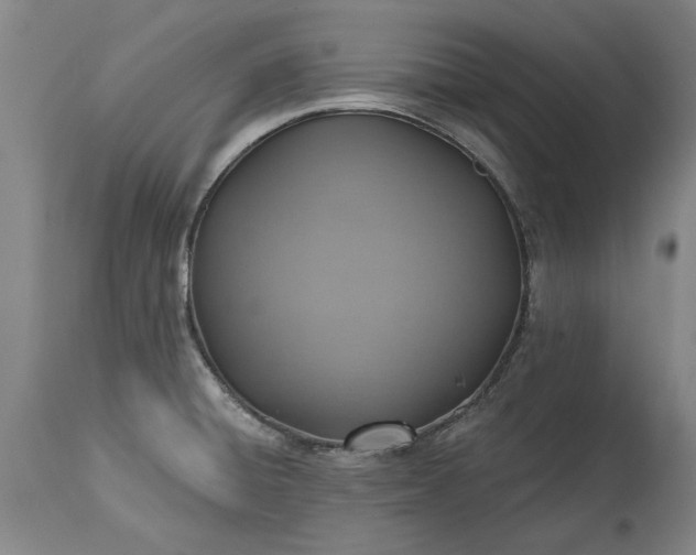 X0000115451428200911181536