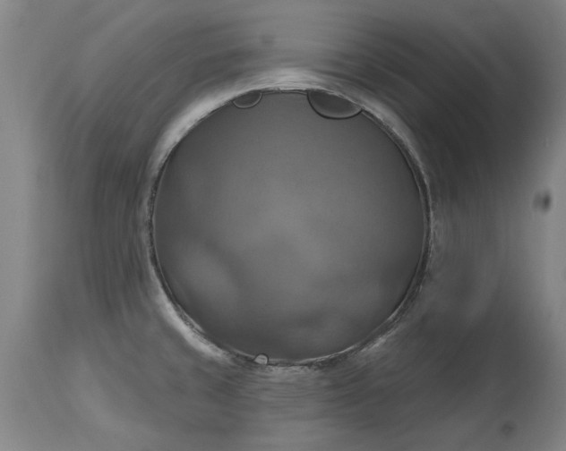 X0000115451429200911181536