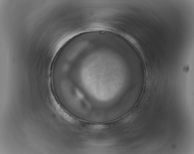 X0000115451431200911181537