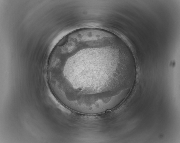 X0000115451432200911181537