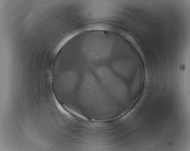 X0000115451433200911181537