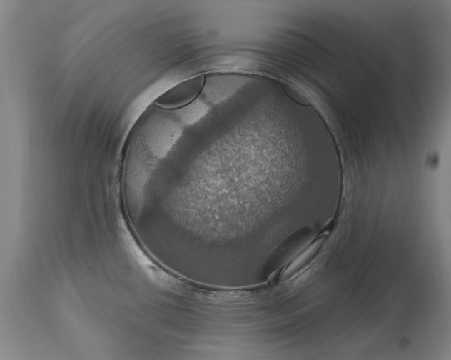 X0000115451434200911181537