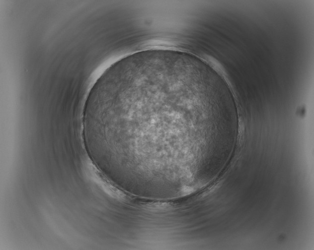 X0000115451435200911181537