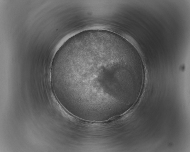 X0000115451436200911181537