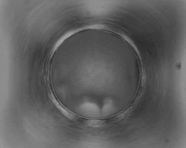 X0000115451437200911181537