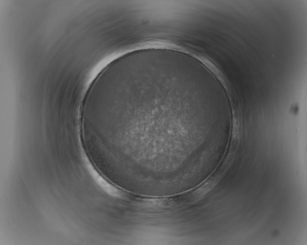 X0000115451438200911181537