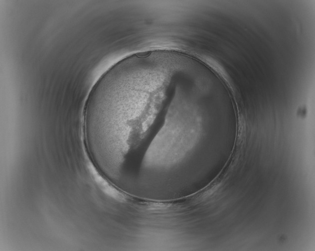 X0000115451439200911181537